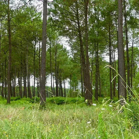 Daire Cosy Sunset Mimizan-Plage